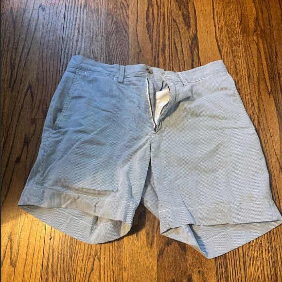 Polo Ralph Lauren Shorts Mens 30 Blue Striped Chino Flat Front Classic Fit - Picture 2 of 5